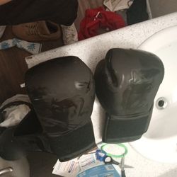 Boxing Glubs Brand Venum