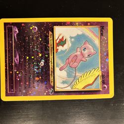 Southern islands mew (damaged)