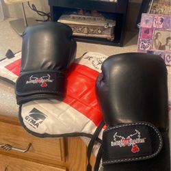 Kick Boxing 12 Oz  With Small Chest Pad