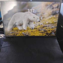 Dell *2025* Windows 11 Pro