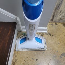 Bissell Steam Mop