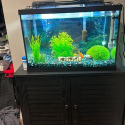 20 GAL HIGH fish tank with stand
