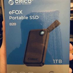 Orico 1TB Portable SSD