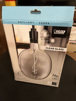 75-Watt Equivalent C53 Dimmable Curve Filament Oversized Clear Glass E26 Vintage LED Light Bulb