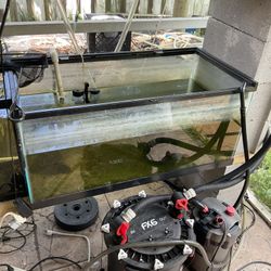 40 Gallon Fish Tank 