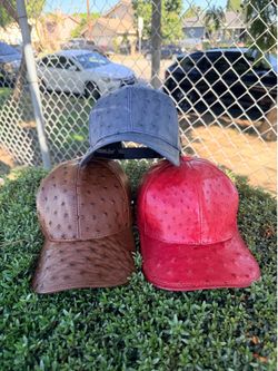 Gorras exóticas