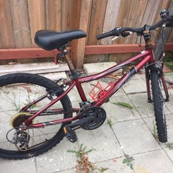 Junior Mountain Bike 24”