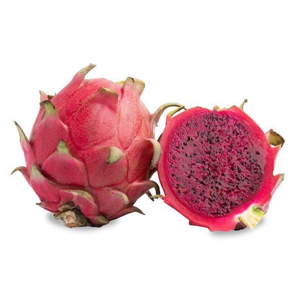 Need Dragon Fruit Rooted Plants