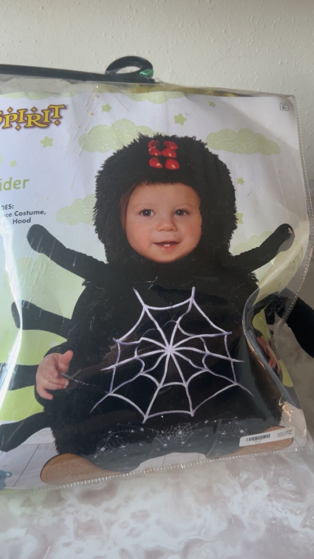 Baby Spider