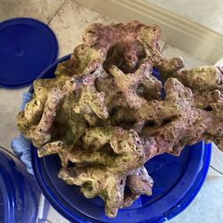 Live Rock For Sale