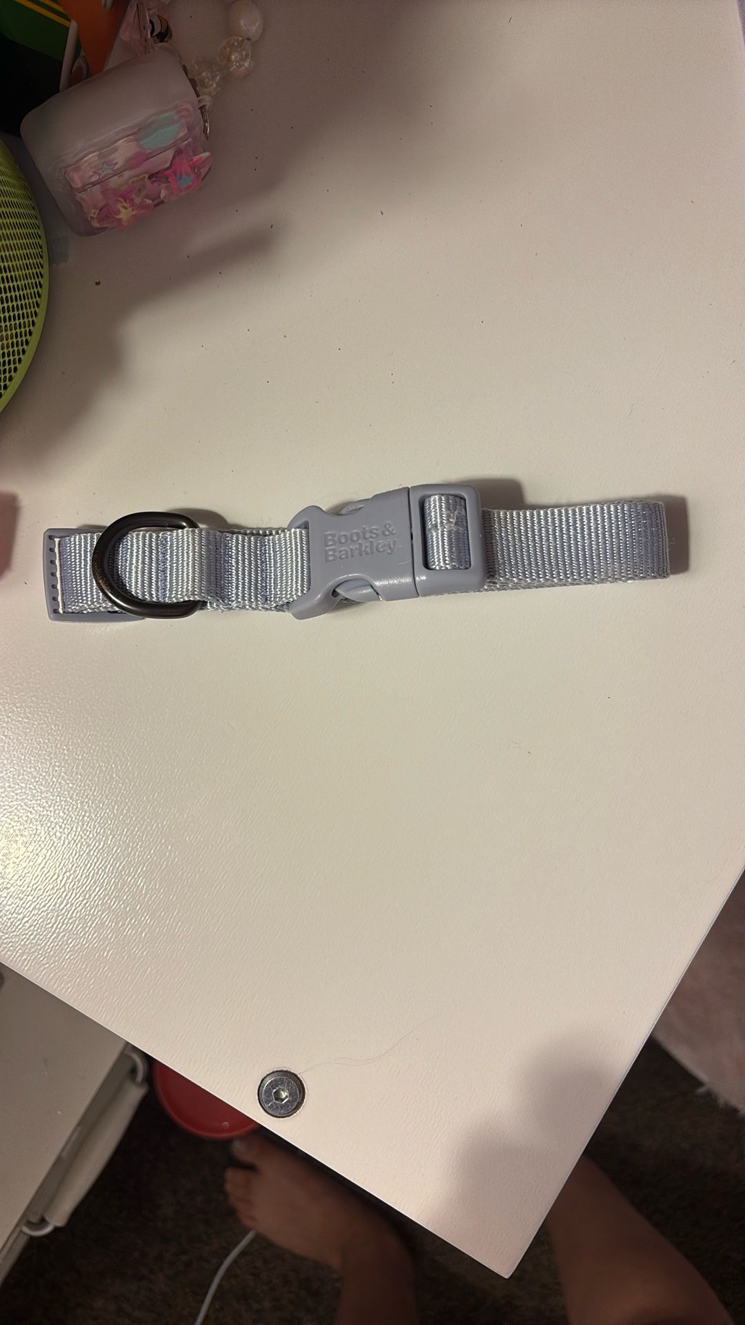 Dog Collar