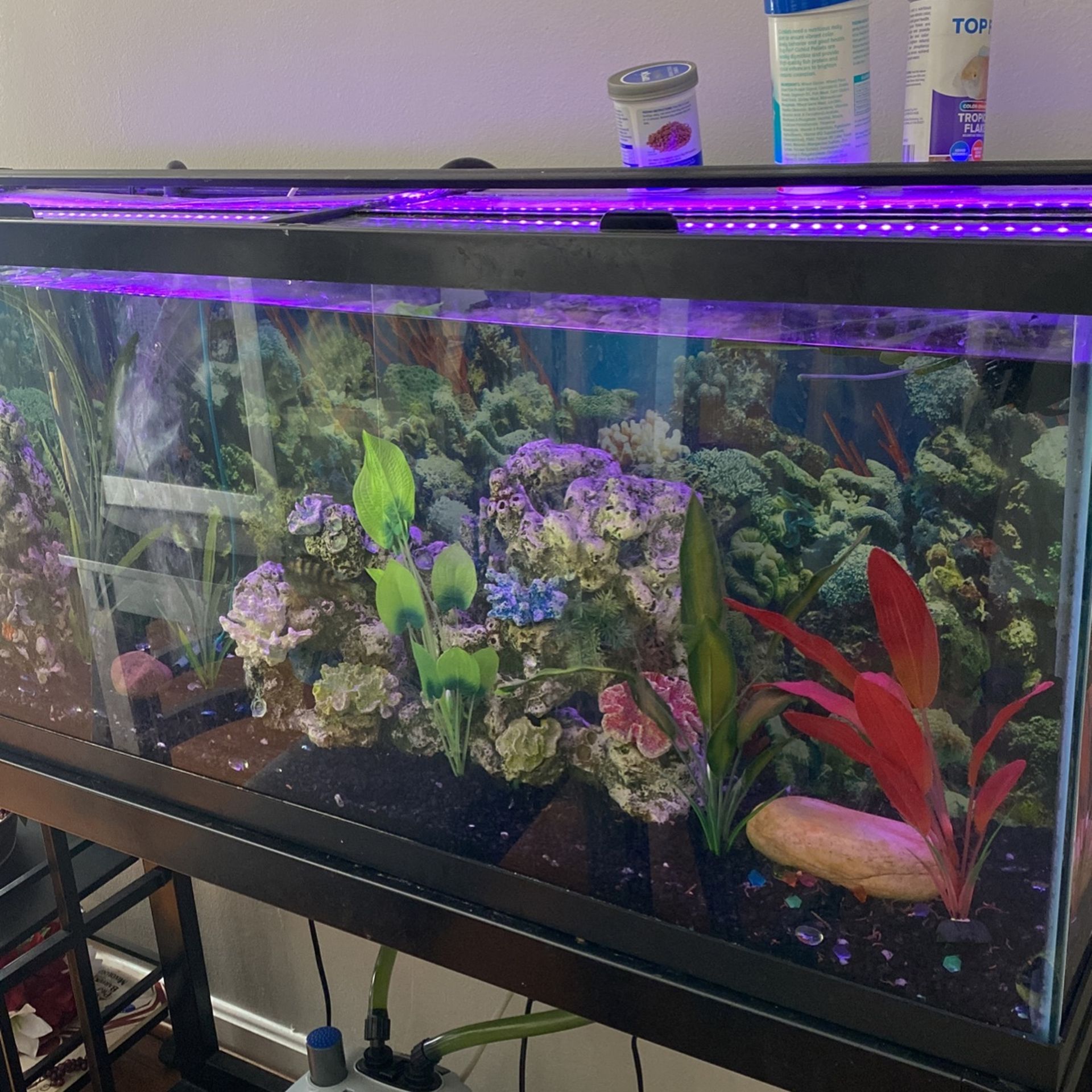 55 Gallon Aquarium Tank “Long”