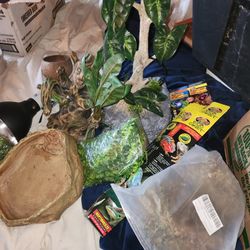 Reptile Supplies