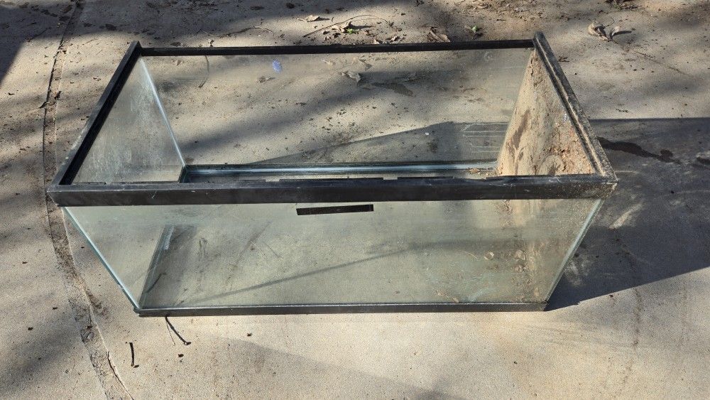 FISH TANK