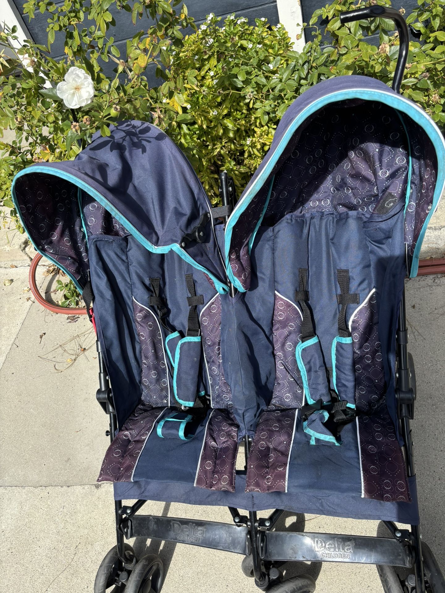 Double Stroller