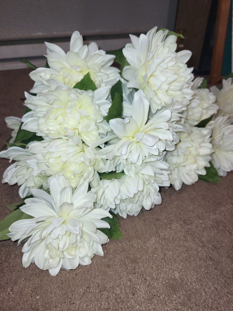 26 White Chrysanthemum Stems