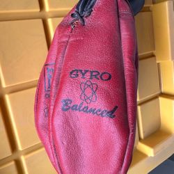 Speed Bag And Gloves