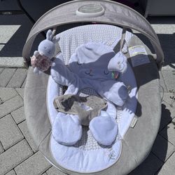Ingenuity Infant Bouncer