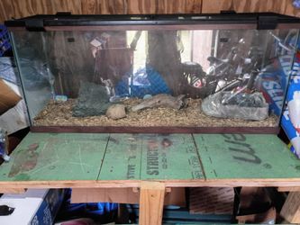 50 gal reptile tank