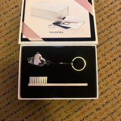 Pandora Jewelry Cleaning Kit
