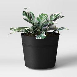 Threshold Iron Planters
