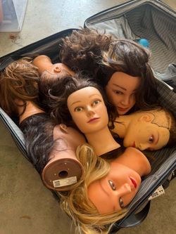 Cosmetology practice mannequin heads