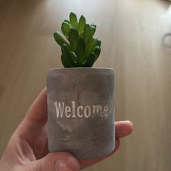 Welcome Fake Plant Decoration 