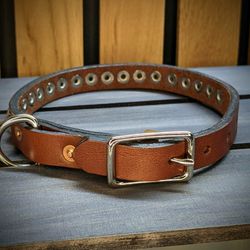 Leather Dog Collar 