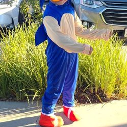 🎃👻COSTUME SONIC👻🎃