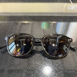 RayBan Leonard Sunglasses Polarized (NEW)