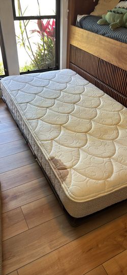 Free twin mattress