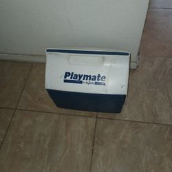 Playmates Cooler