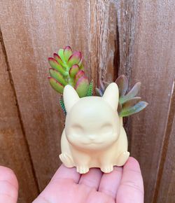 Pikachu Succulent Arrangement