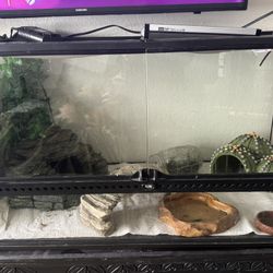 Leopard Gecko Setup 
