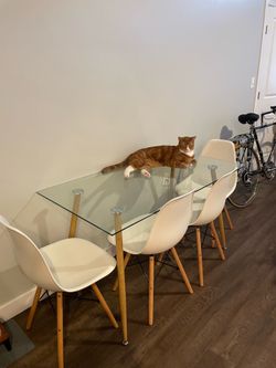 Glass Dining Table