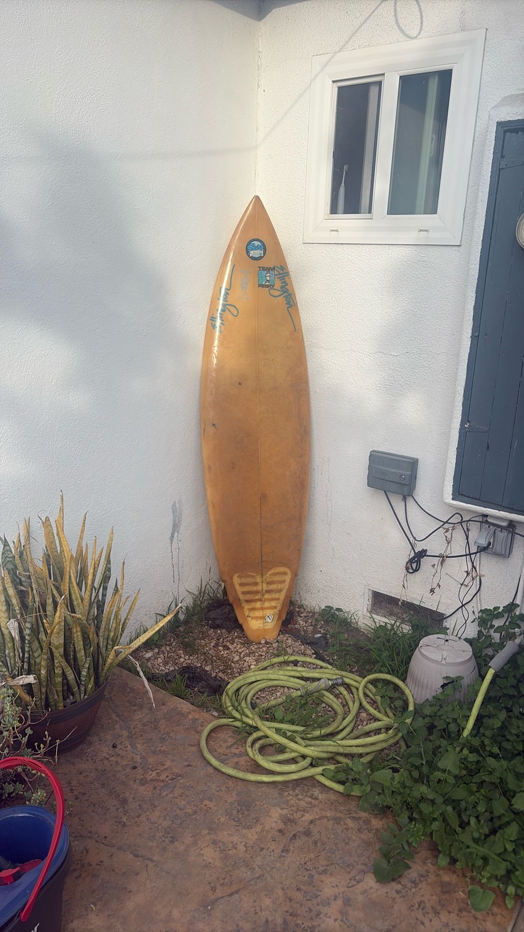 Ellington SurfBoard
