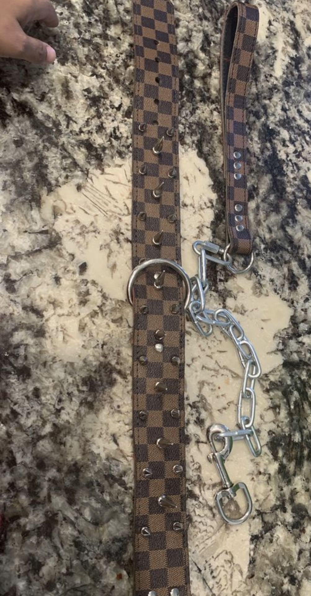 Custom made Louis Vuitton dog collar and leash