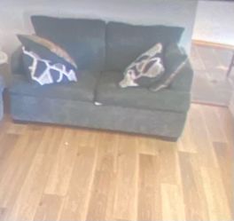 Dark Gray Fabric Loveseat Sofa