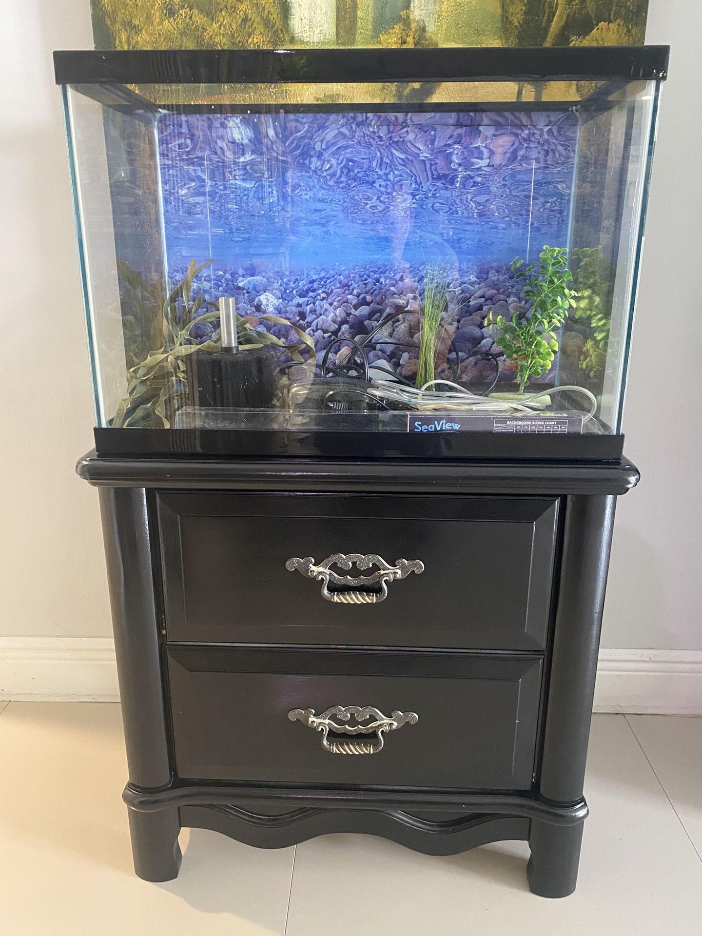 Fish Tank and Stand, 20 gallon.