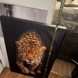Leopard Portrait 