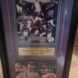 Arizona Diamondbacks  2001 World Series Championship Poster