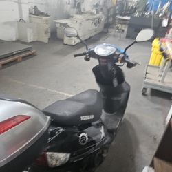 2021 IceBear Revolution