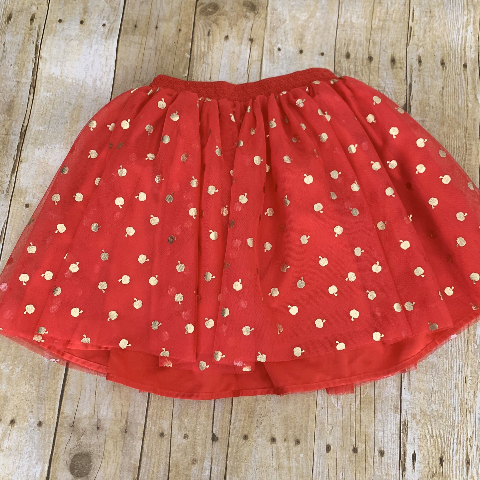 Disney tulle skirt