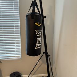 Punching Bag