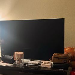 Panasonic 65in Tv 