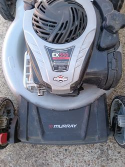 Lawmotor Murray