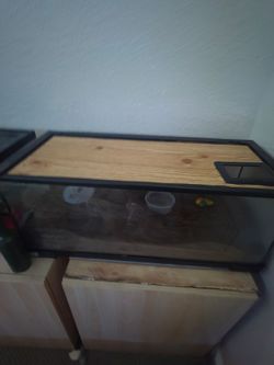 Hermit crab tank