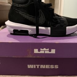 LeBron Witness Shoes