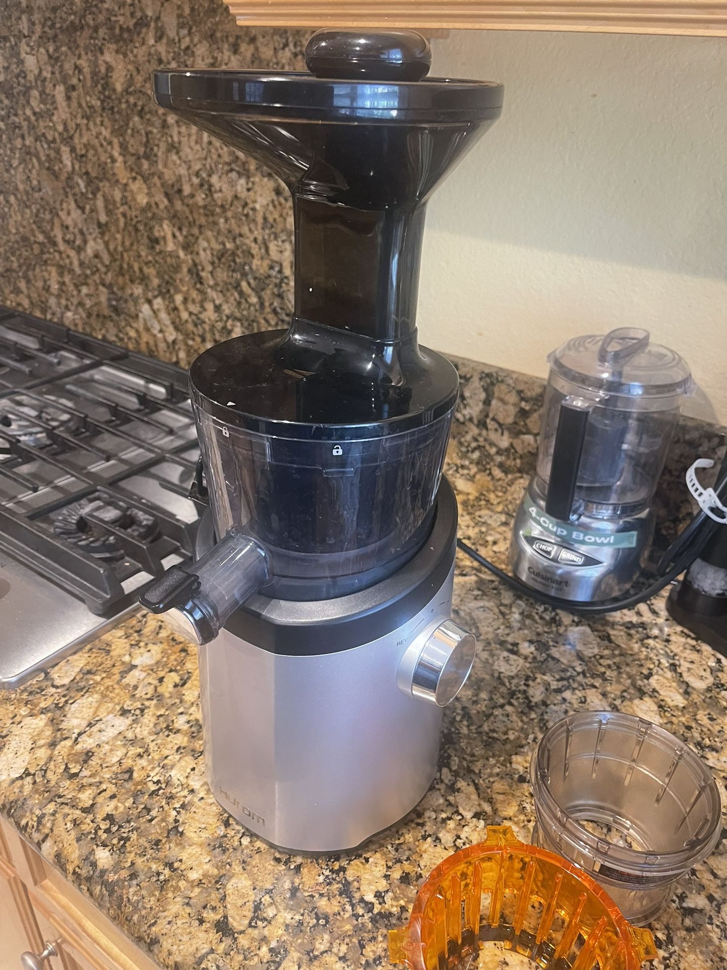 Hurom H101 Cold Press Juicer