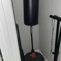 Punching bag + gloves 